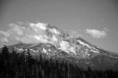 Central Dental, Michelle L. Hasbrook, DMD - General dentist in Monmouth, OR