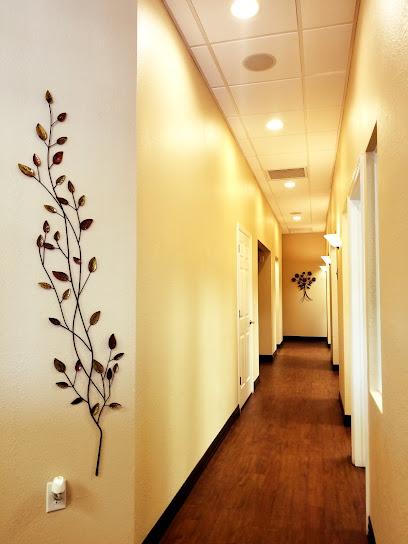 Palm Harbor Premier Dental - General dentist in Palm Harbor, FL