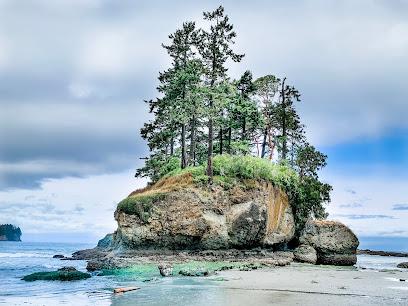 Dr. Aaron Swenson, DDS - General dentist in Port Angeles, WA