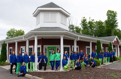 Sprout Dental - Pediatric dentist in Lake Ariel, PA