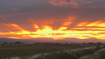 David A. Newell DDS - General dentist in Minden, NV