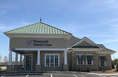 Vineyards Dental Care: Ilisa Stern, DMD - General dentist in Braselton, GA