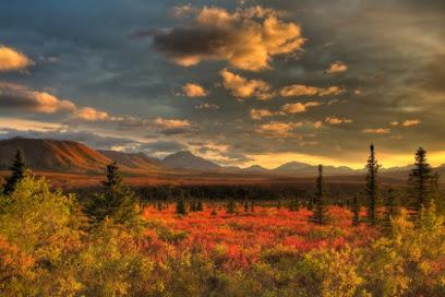 Same Day Dental - General dentist in Wasilla, AK
