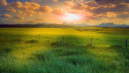 Crossroads Dental - General dentist in Waterloo, IA