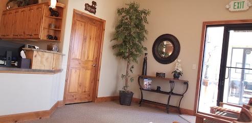 Wild for a Smile - Pediatric dentist in Greeley, CO