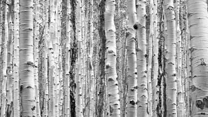 Center For Endodontic Care - Endodontist in Loveland, CO