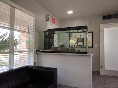 Ahn & Perez DDS - General dentist in Tempe, AZ